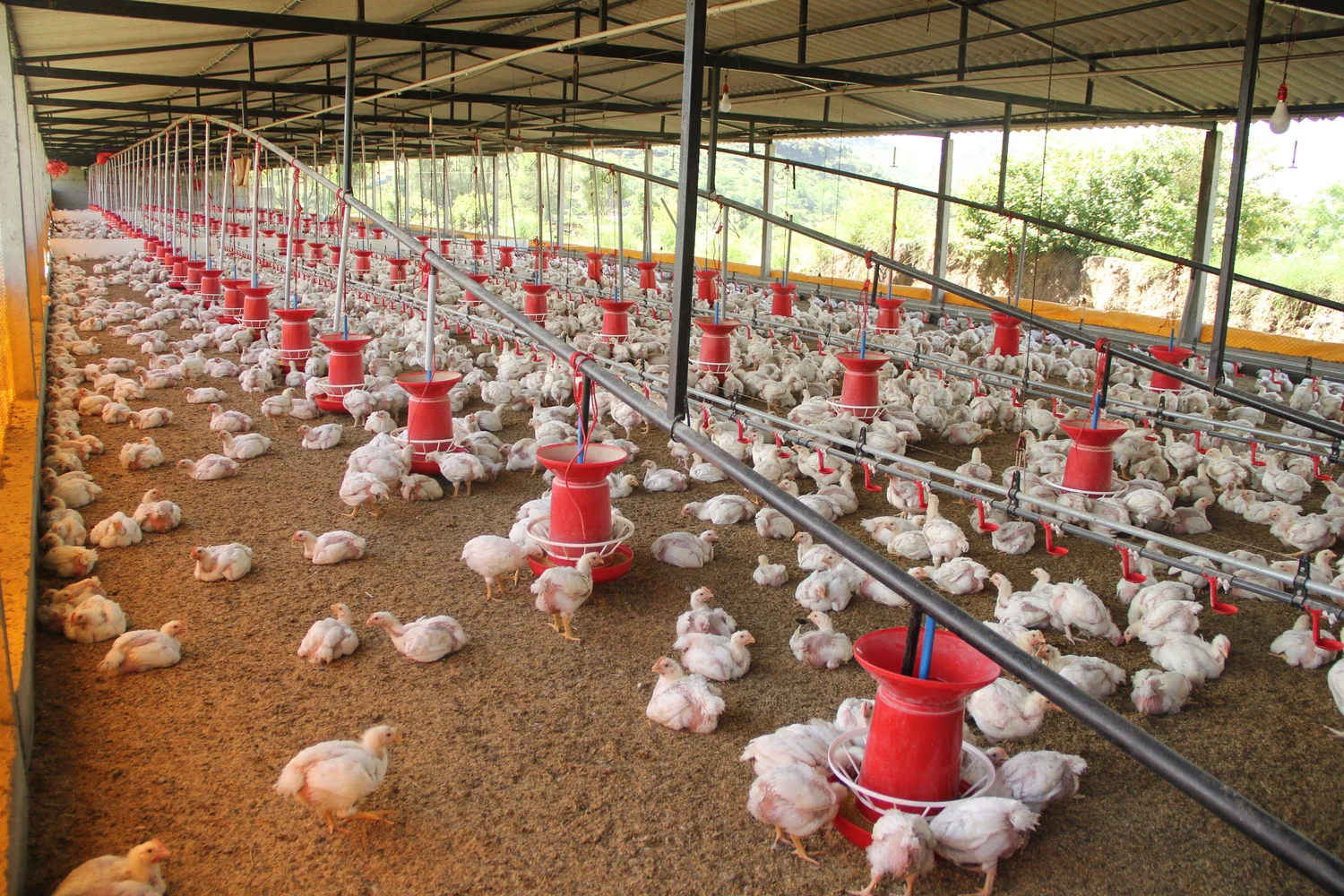 Henliv Grow farm monitoring visual